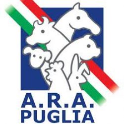 ARA Puglia