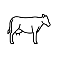 noun-cow-7226254