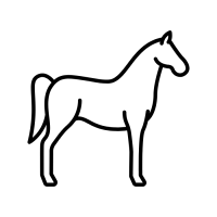 noun-horse-7226267