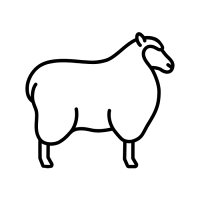 noun-sheep-7226277